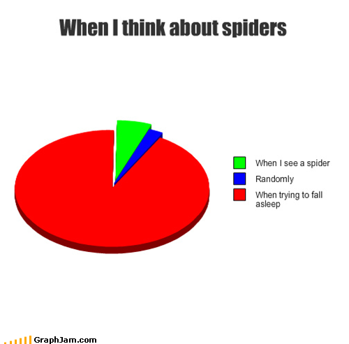 Poor Sleepy Arachnologists