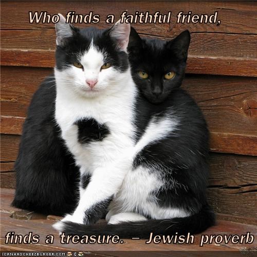 Who finds a faithful friend,     finds a treasure. - Jewish proverb