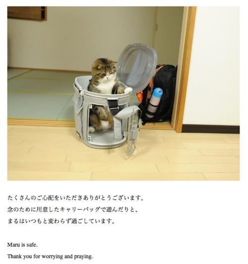 Maru Moment of the Day