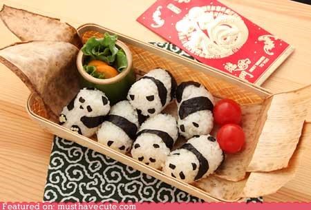 Epicute: Snuggly Panda Rice