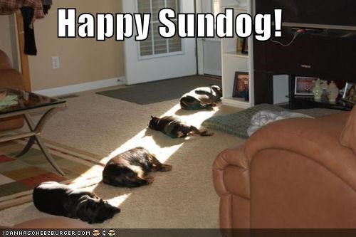 Happy Sundog!