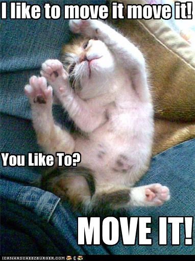 I like to move it move it!