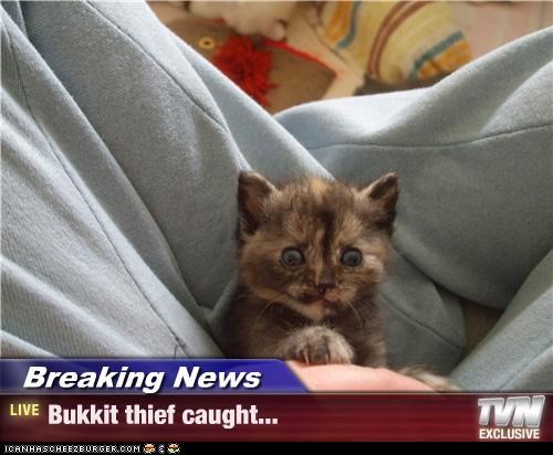 Breaking News - Bukkit thief caught...