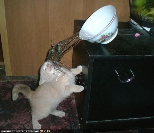 Cyoot Kitteh of teh Day: Watur, Mah Nemesis!