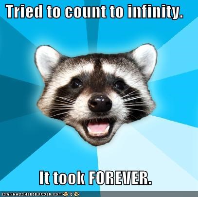 Lame Pun Coon: Tried to count to infinity. 
