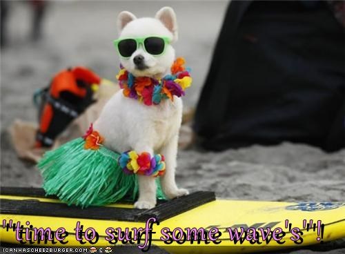 ''time to surf some wave's''!