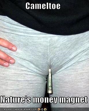 Cameltoe    Nature's money magnet