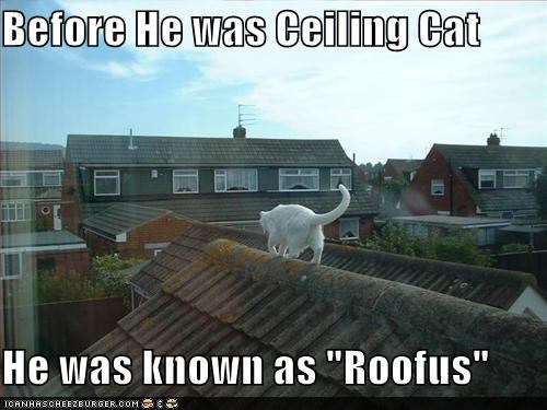 Before He was Ceiling Cat  He was known as "Roofus"