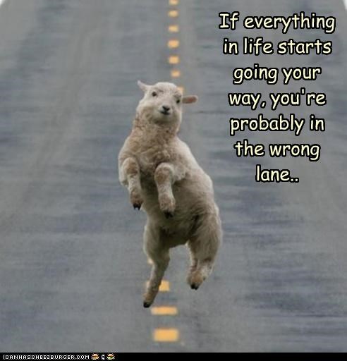 If everything in life starts going your way, you're probably in the wrong lane..