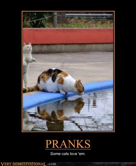 PRANKS