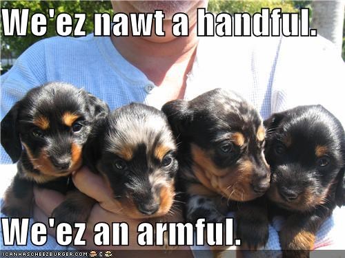 We'ez nawt a handful.  We'ez an armful.