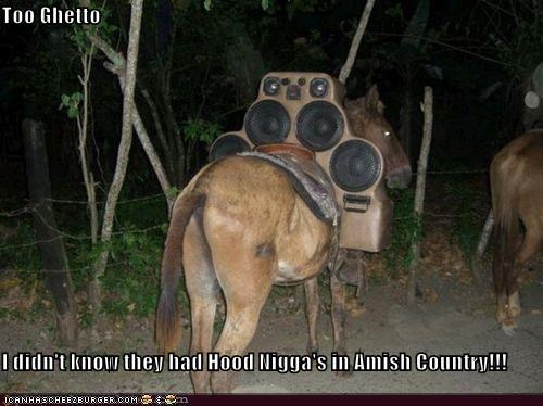 Too Ghetto  I didn't know they had Hood Nigga's in Amish Country!!!