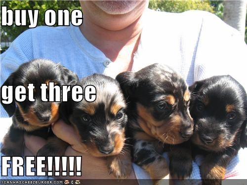 buy one  get three FREE!!!!!