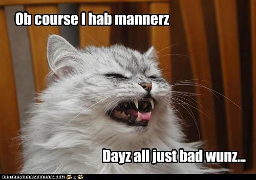 Ob course I hab mannerz