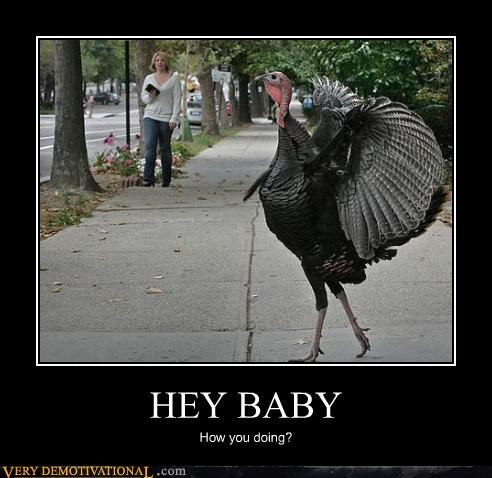 HEY BABY