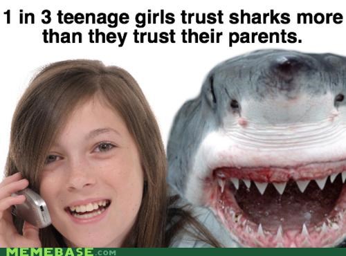 Sharks.