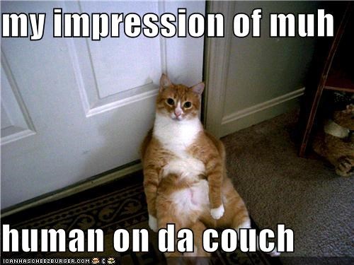 my impression of muh  human on da couch