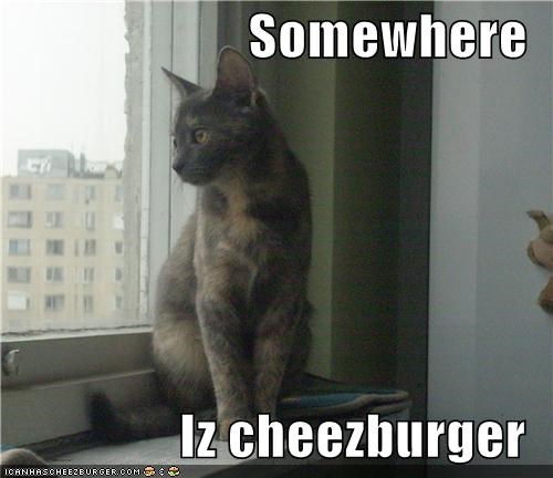 Somewhere  Iz cheezburger