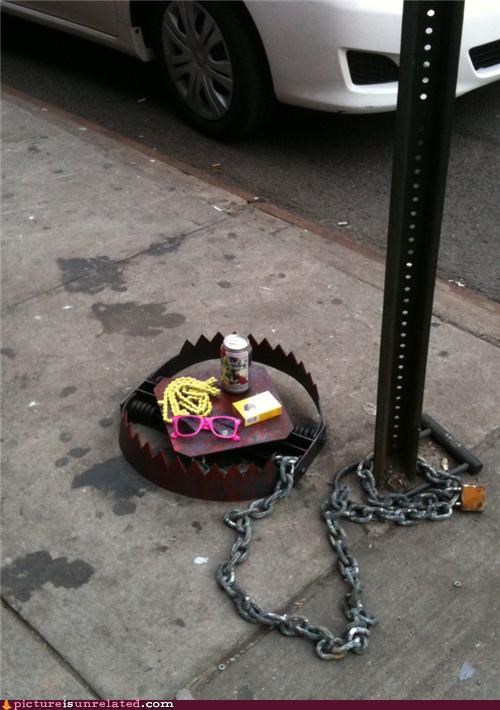 Open Season in Williamsburg 