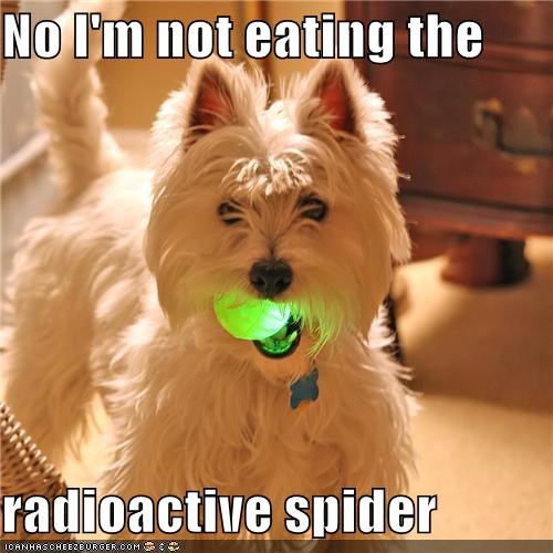 No I'm not eating the  radioactive spider