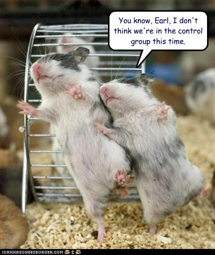 You know, Earl, I don't think we're in the control group this time.