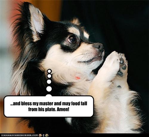 ...and bless my master and may food fall from his plate. Amen!