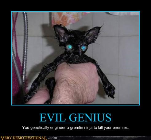 EVIL GENIUS
