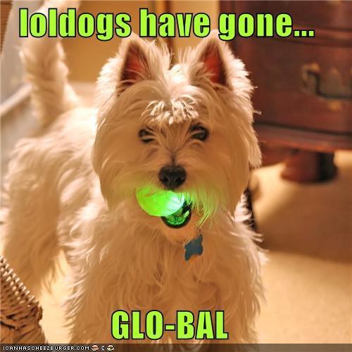 loldogs have gone...  GLO-BAL