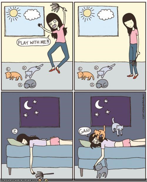 Kitteh Komic of teh Day: Hoomin Playtime vs. Kitteh Playtime