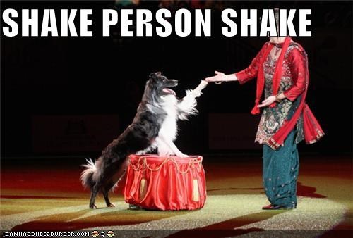 SHAKE PERSON SHAKE