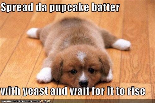 Spread da pupcake batter  with yeast and wait for it to rise