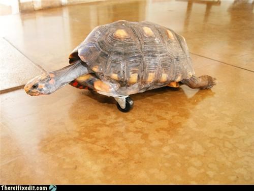We're Rooting For You Little Guy!