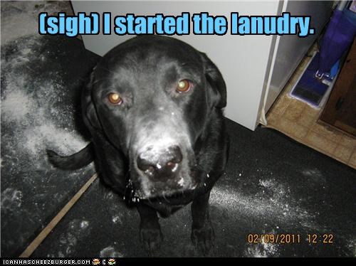 (sigh) I started the lanudry.