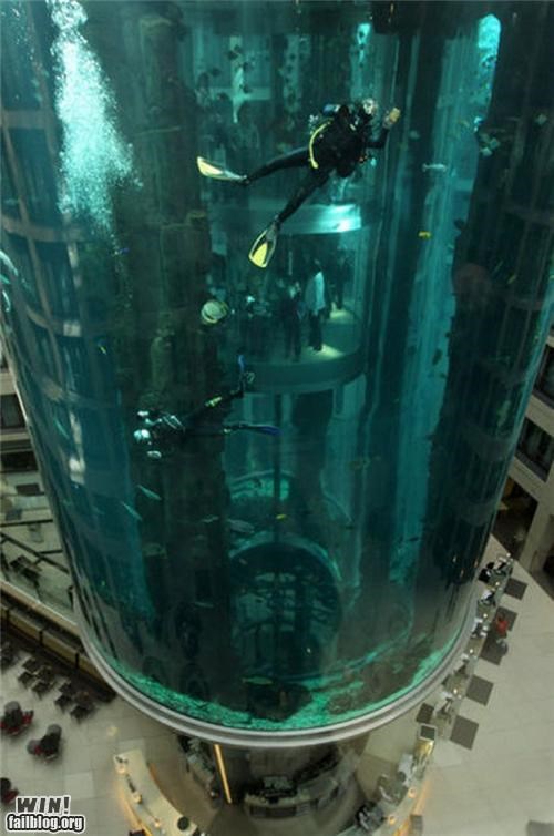 Elevator Scuba WIN