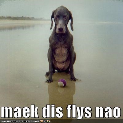 maek dis flys nao