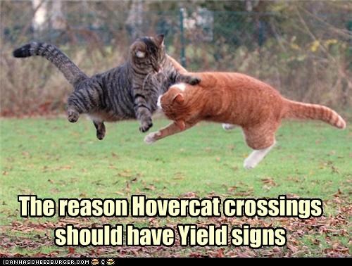 The reason Hovercat crossings  should have Yield signs