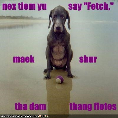 nex tiem yu            say "Fetch,"        maek                         shur         tha dam             thang flotes