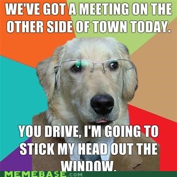 Business Dog: Delegation