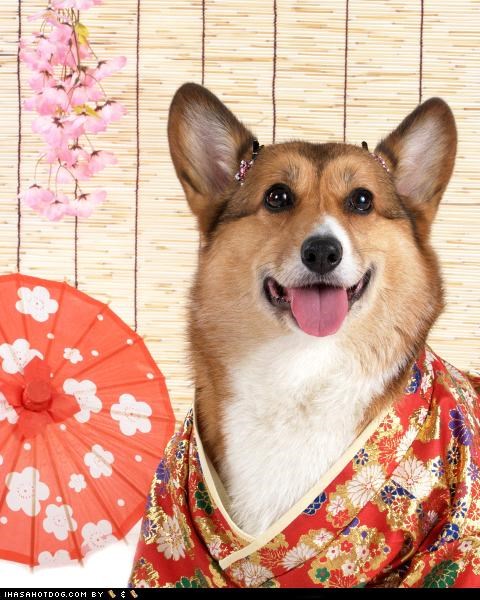 Finkin ob mai frenz ober in Japan