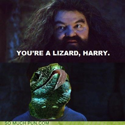 You're A Lizard