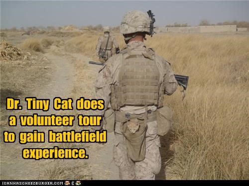 Dr.  Tiny  Cat  does  a  volunteer  tour  to  gain  battlefield experience.