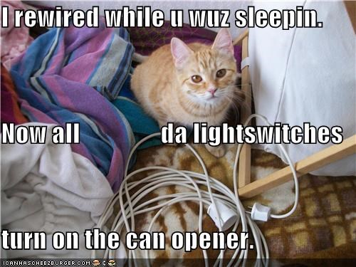 I rewired while u wuz sleepin. Now all                da lightswitches turn on the can opener.