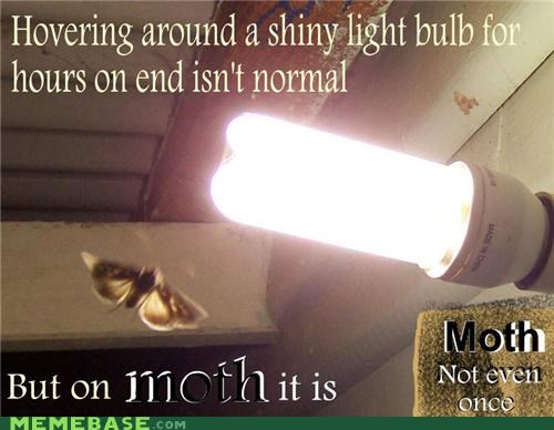 Moth: Not Even Once (zzzap)
