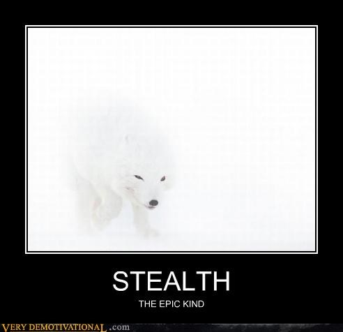 STEALTH
