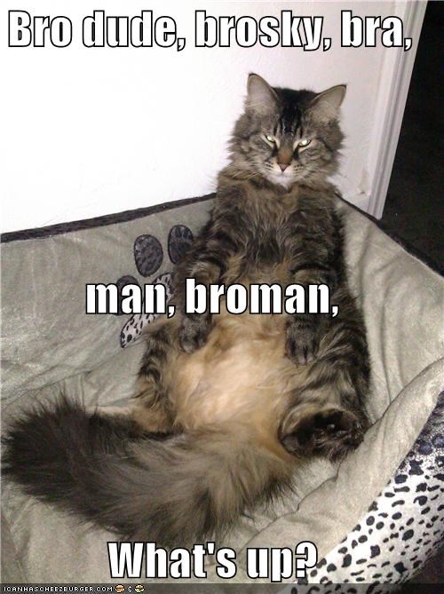 Bro dude, brosky, bra,  man, broman, What's up?