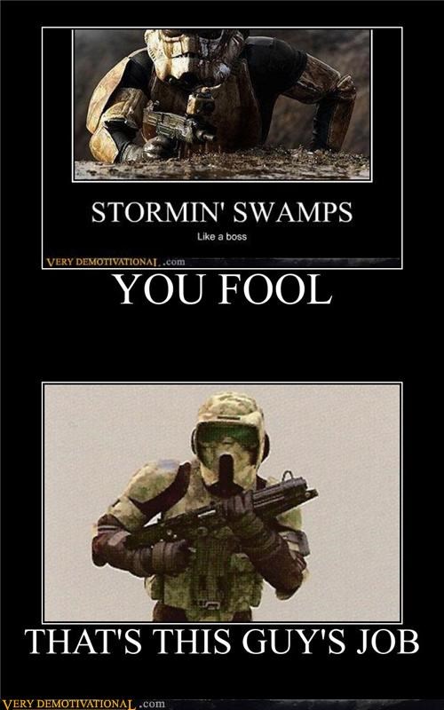 YOU FOOL