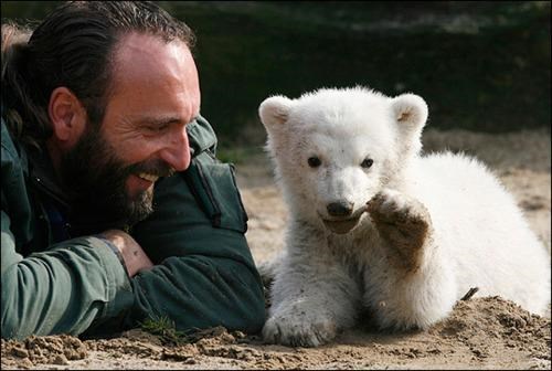 RIP: Knut the Polar Bear