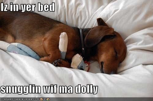 Iz in yer bed  snugglin wif ma dolly