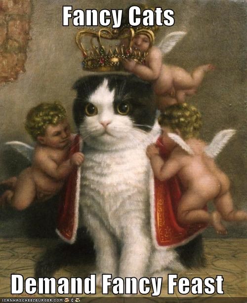 Fancy Cats Demand Fancy Feast