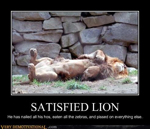 SATISFIED LION
